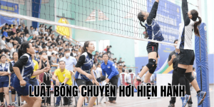 Luật Bóng Chuyền Hơi 2024 Mới Nhất: Cập Nhật Đầy Đủ, Chi Tiết