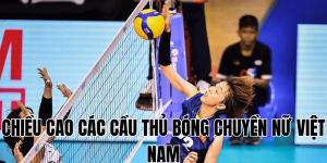 Cầu Thủ Bóng Chuyền Kim Huệ: Sự Nghiệp Và Cuộc Sống Hiện Tại